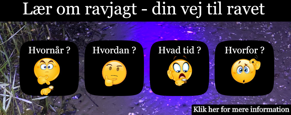 Lær om ravjagt